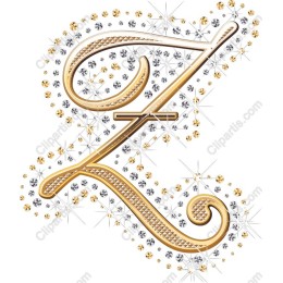 Elegant Gold and Silver Letter Z