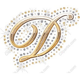 Gold and Silver Decorative Letter D'
