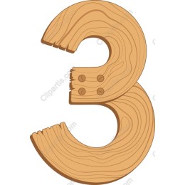 Rustic Wooden Number 3