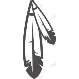 Stylish Feather