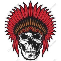 Feathered Skull