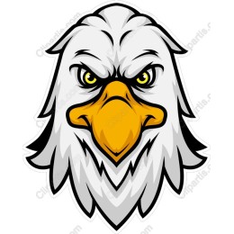 Fierce Eagle Head
