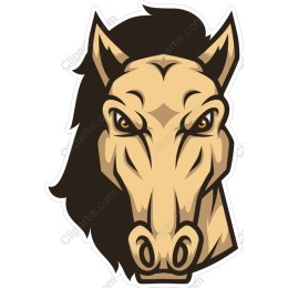 Majestic Horse Head