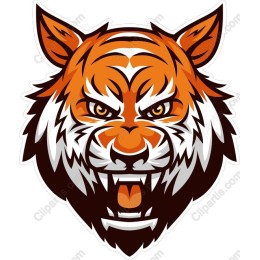 Fierce Tiger Head