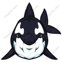 Smiling Orca