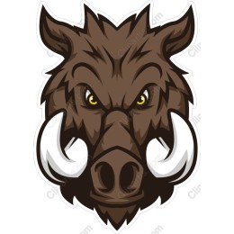 Fierce Boar Head