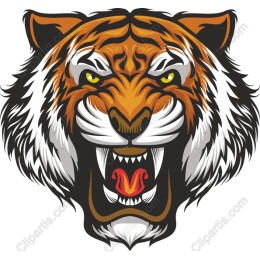 Fierce Tiger Head