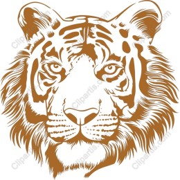 Majestic Tiger Face