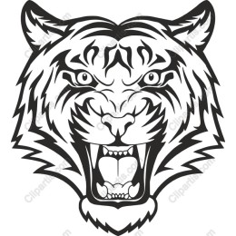 Fierce Tiger Head