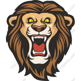 Fierce Lion Head