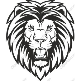 Majestic Lion Head