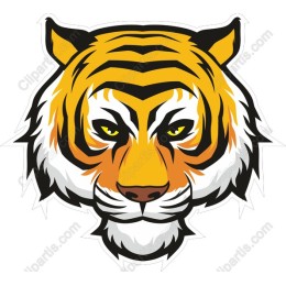 Tiger - Fierce and Bold