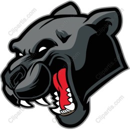 Fierce Panther Head