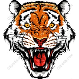 Fierce Tiger Head