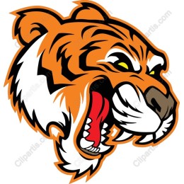 Fierce Roaring Tiger Head