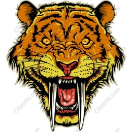 Fierce Tiger Head