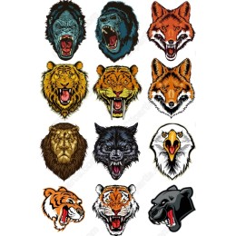 Wildlife Fury Bundle