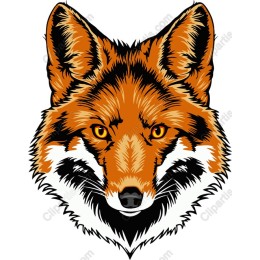 Vibrant Fox Head