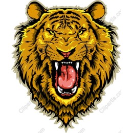 Roaring Tiger Head