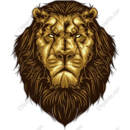 Golden Lion Head