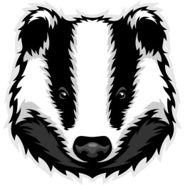Badger work