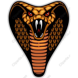 Cobra