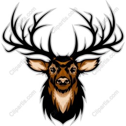 Majestic Deer Head