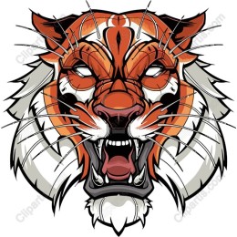 Fierce Tiger Head