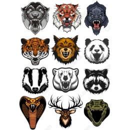 Wildlife Warriors Bundle
