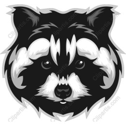 Raccoon Face work