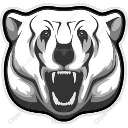 Fierce Polar Bear