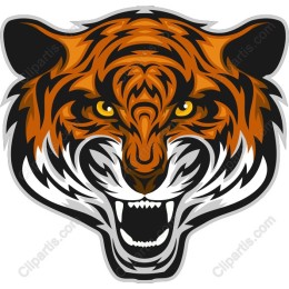 Fierce Tiger Head