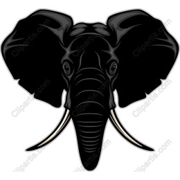 Black Elephant