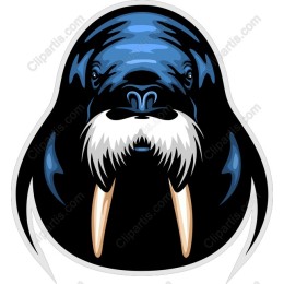 Majestic Walrus