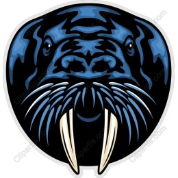 Walrus