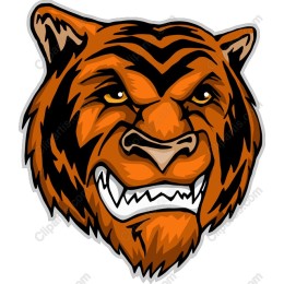 Fierce Tiger Head