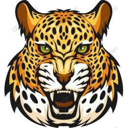 Fierce Leopard Head