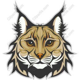 Lynx Head