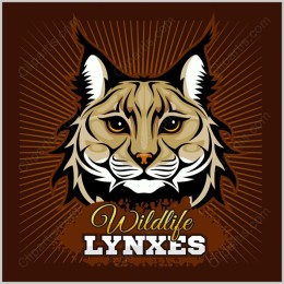 Lynx Wildlife