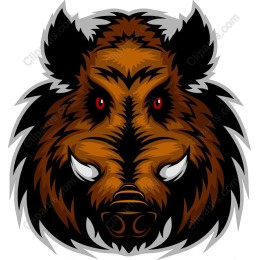 Fierce Wild Boar