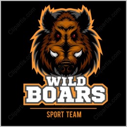 Wild Boars Sports Team