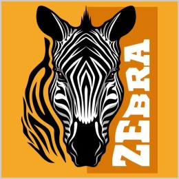 Zebra - High-Quality