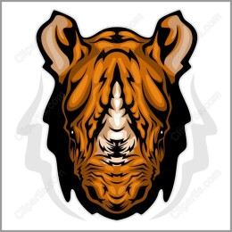 Stunning Tiger Head