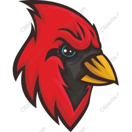 Red Cardinal