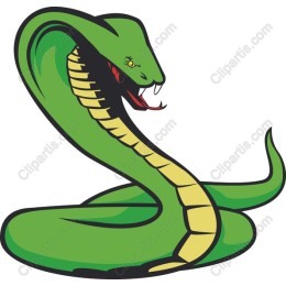 Vibrant Green Snake