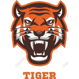 Fierce Tiger Head