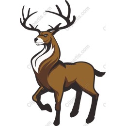 Majestic Stag