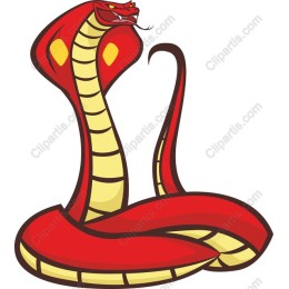 Fierce Red Cobra