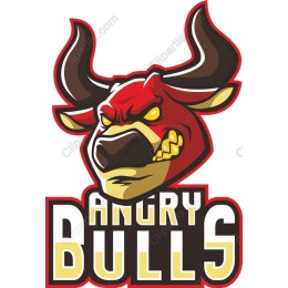 Angry Bulls