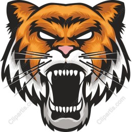 Fierce Tiger Head